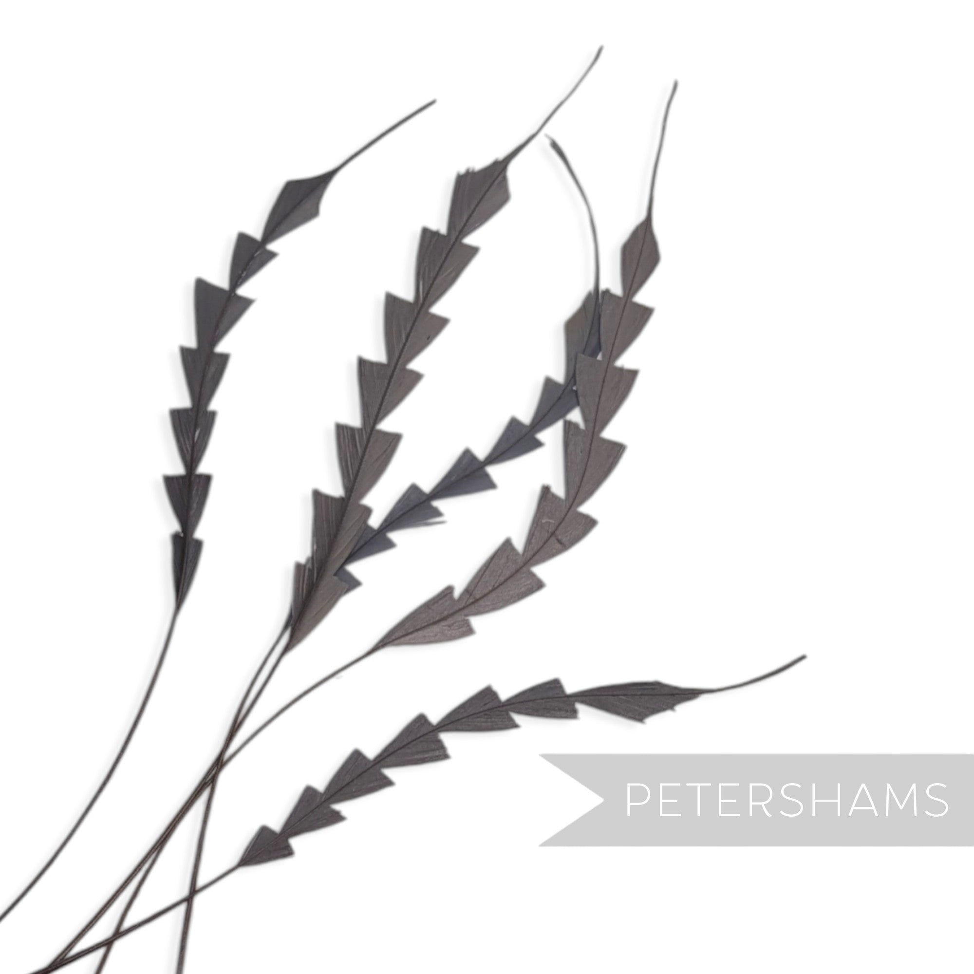 Petershams Millinery Supplies pack of five black coque feathers trimmed into a decorative zig zag pattern