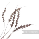 Petershams Millinery Supplies brown coque feathers hand-trimmed into a decorative zig zag pattern for hat making