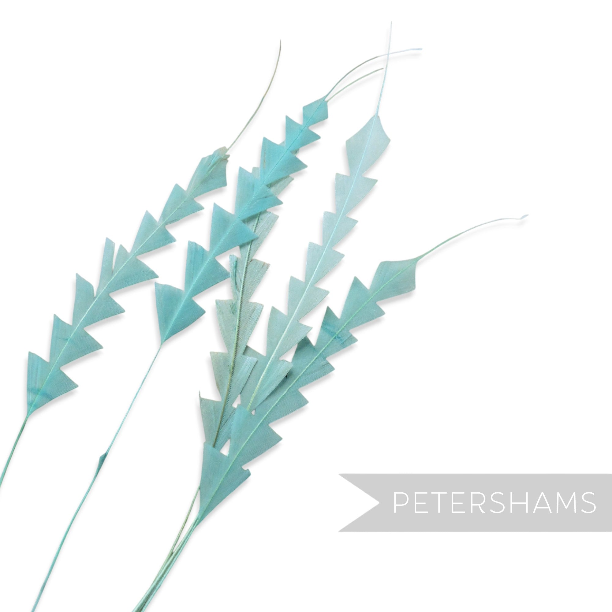 Petershams Millinery Supplies pack of five light blue coque feathers trimmed into a decorative zig zag pattern