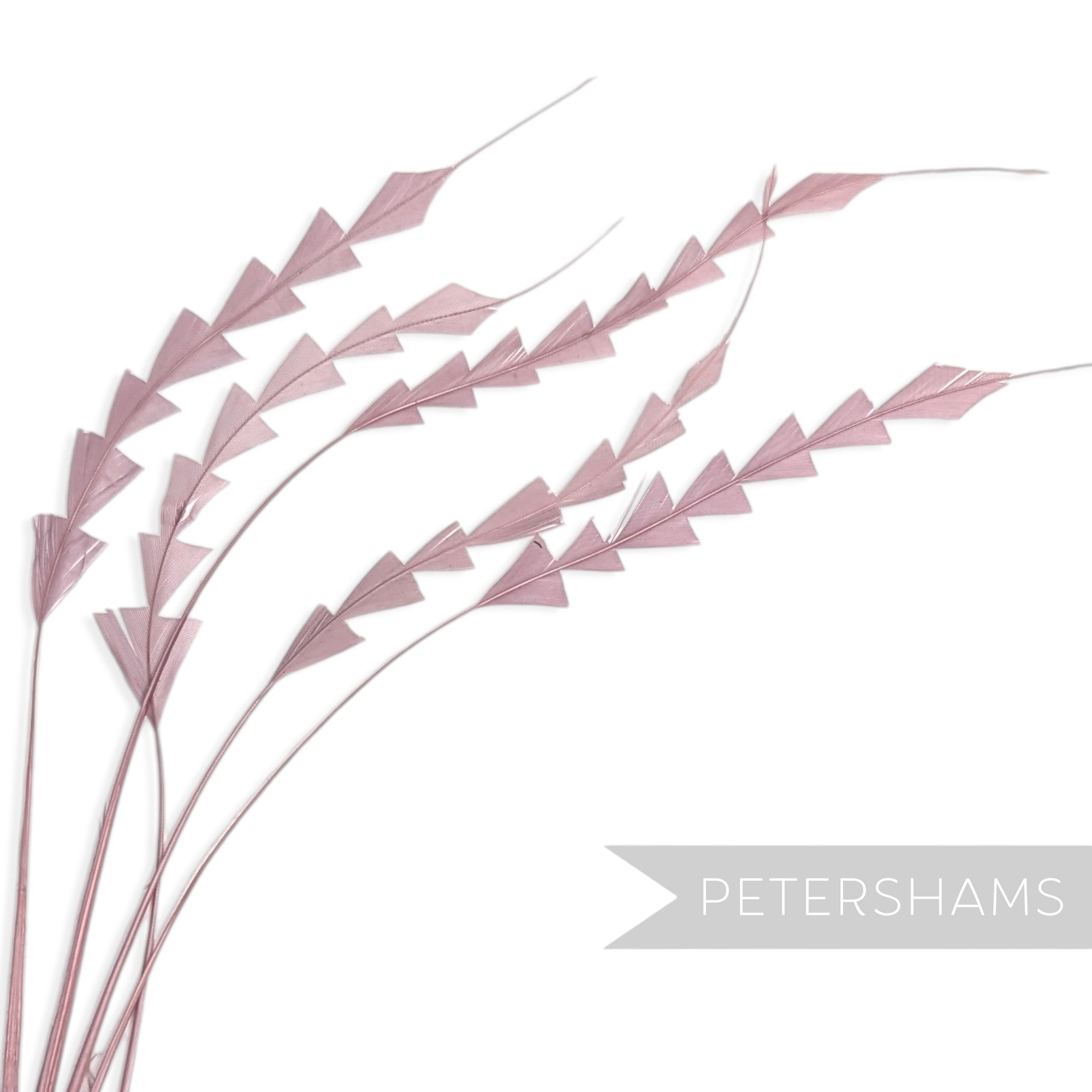 Petershams Millinery Supplies dusty pink zig zag coque feathers for hat making, pack of 5 hand-trimmed plumes.