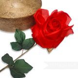 'Samantha' 13cm Vintage 1960's German Silk Rose Flower