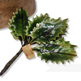'Noah' Vintage 1950s German Lacquered Holly Leaves - 36 stems