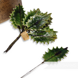 'Noah' Vintage 1950s German Lacquered Holly Leaves - 36 stems