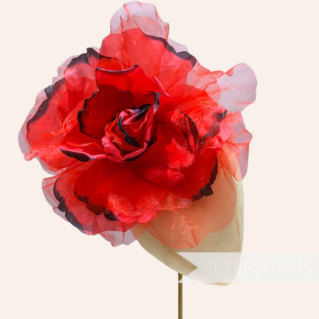 'Priscilla' Giant 25cm Velvet & Organza Millinery Flower Petershams